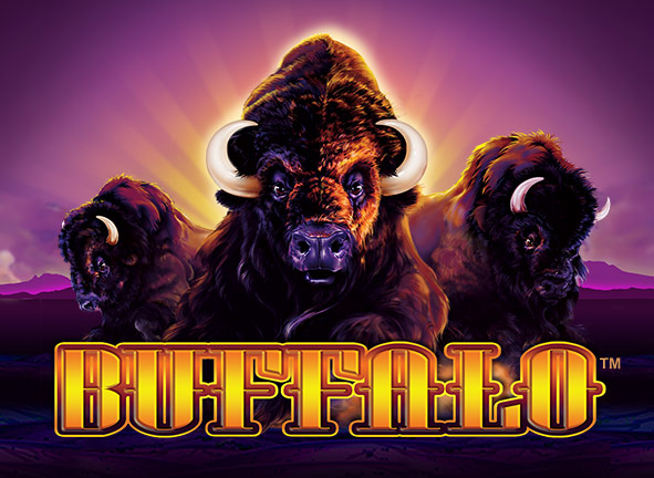 buffalo slot